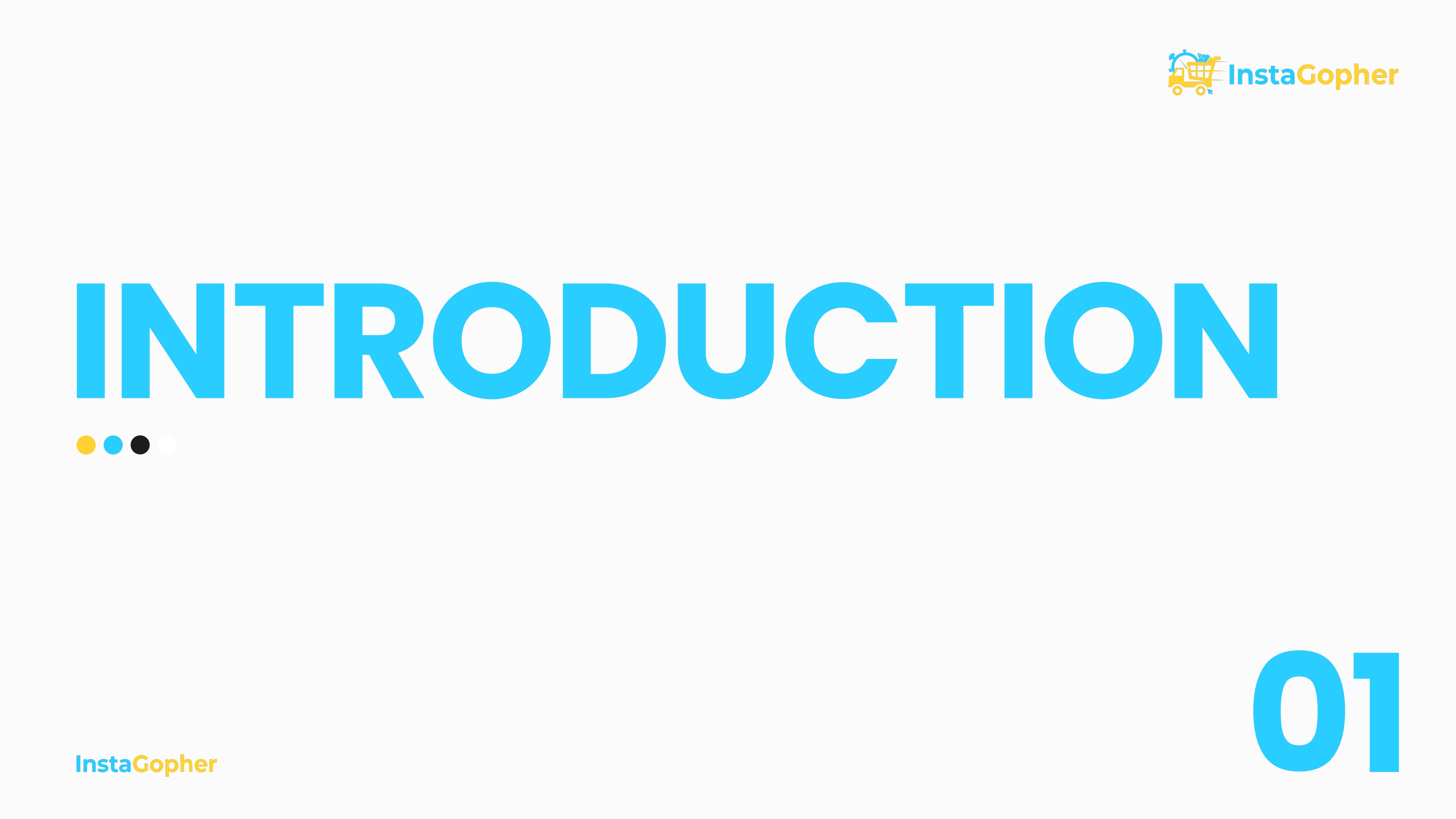 InstaGopher — Brand Guidelines — view 3