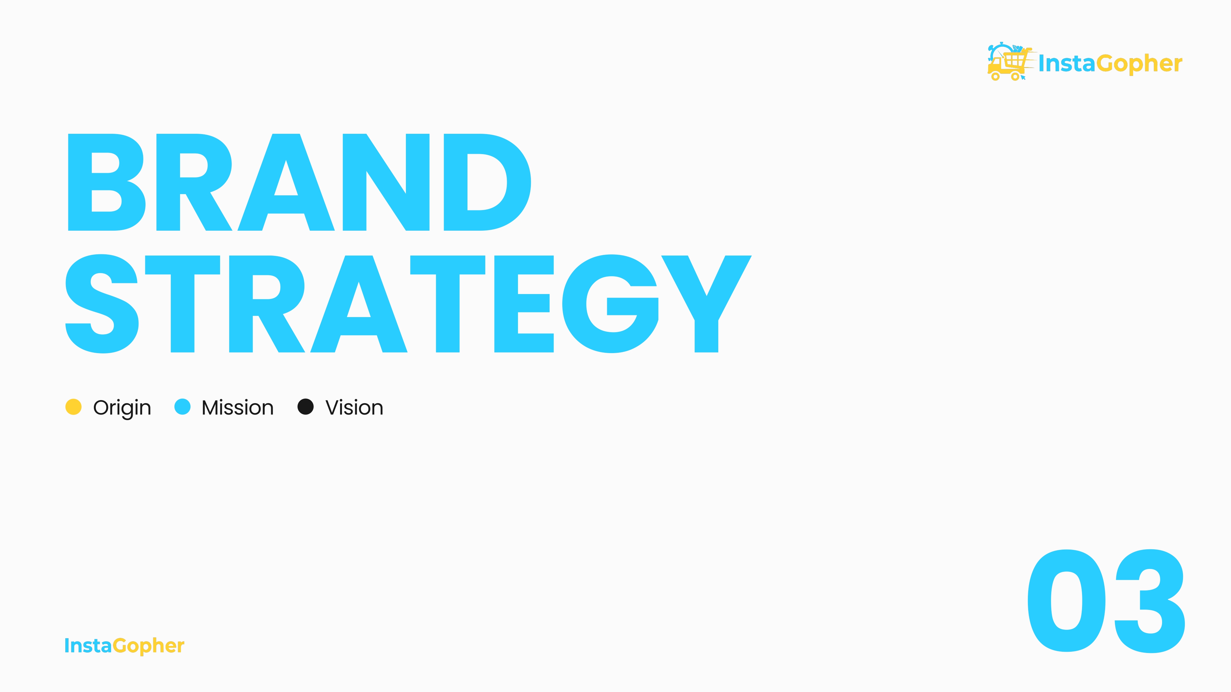 InstaGopher — Brand Guidelines — view 8