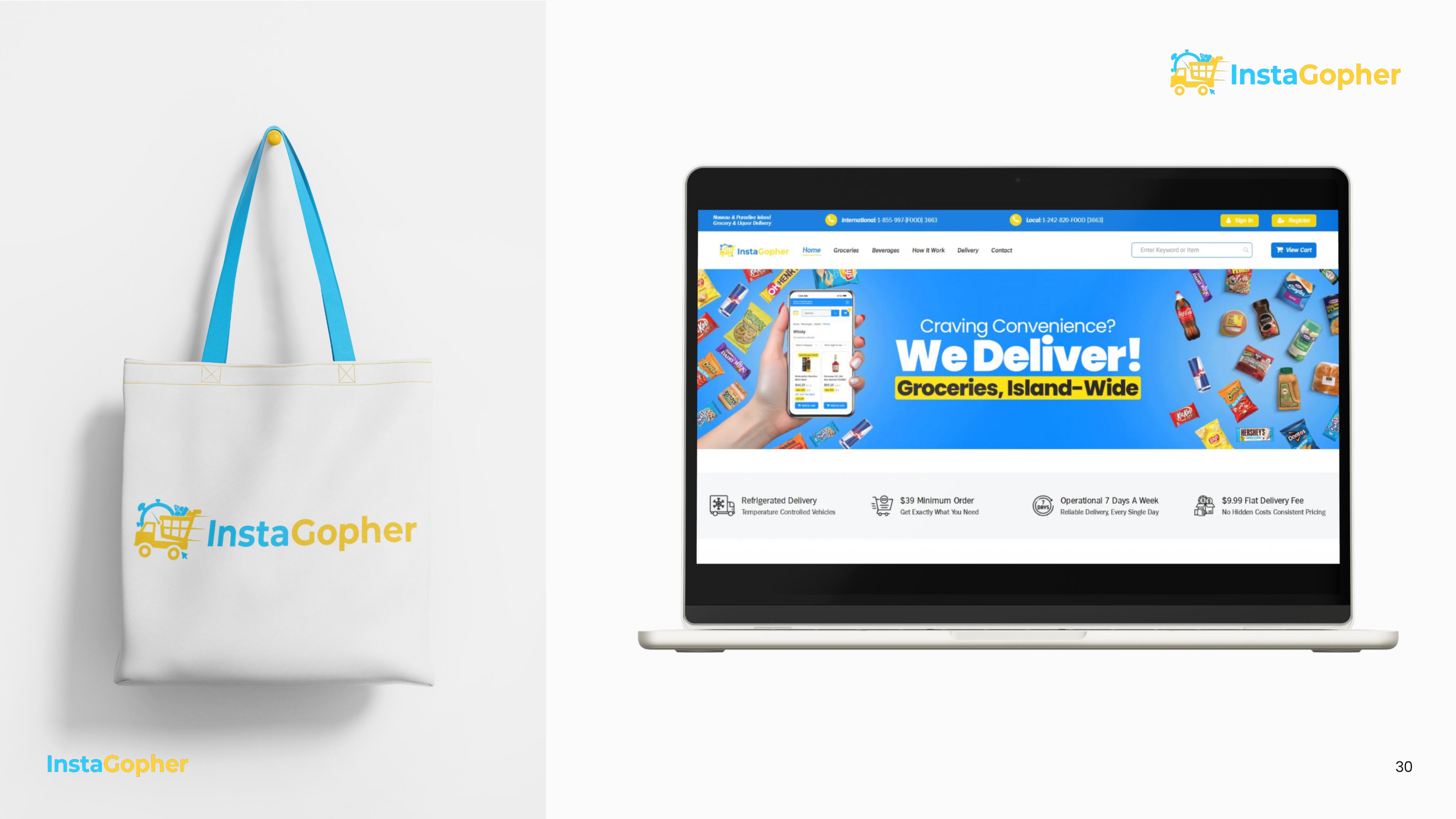 InstaGopher — Brand Guidelines — view 26