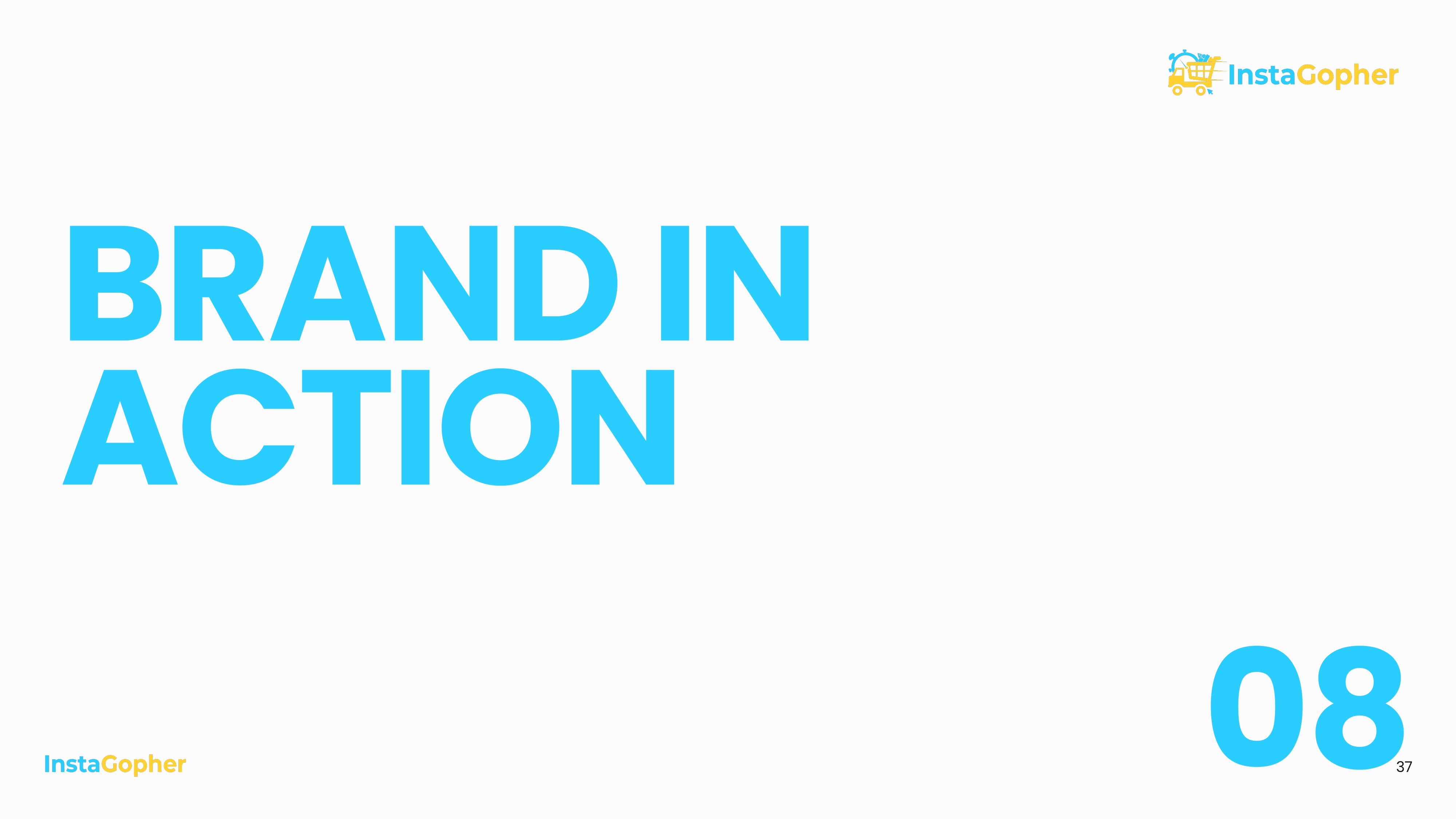 InstaGopher — Brand Guidelines — view 33