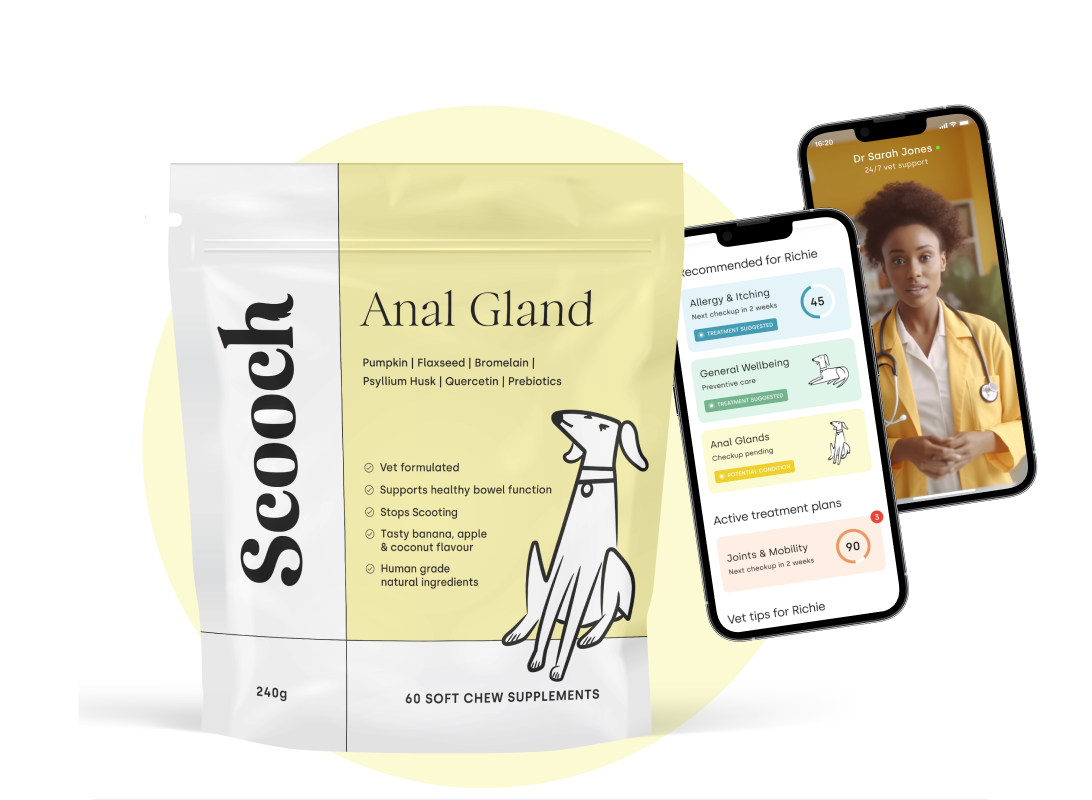 Scooch - Landing Page