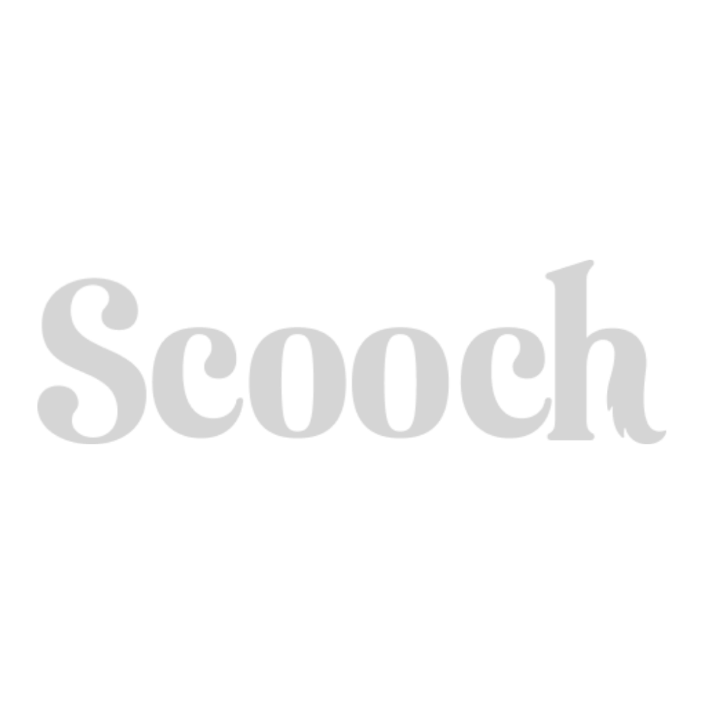 Scooch